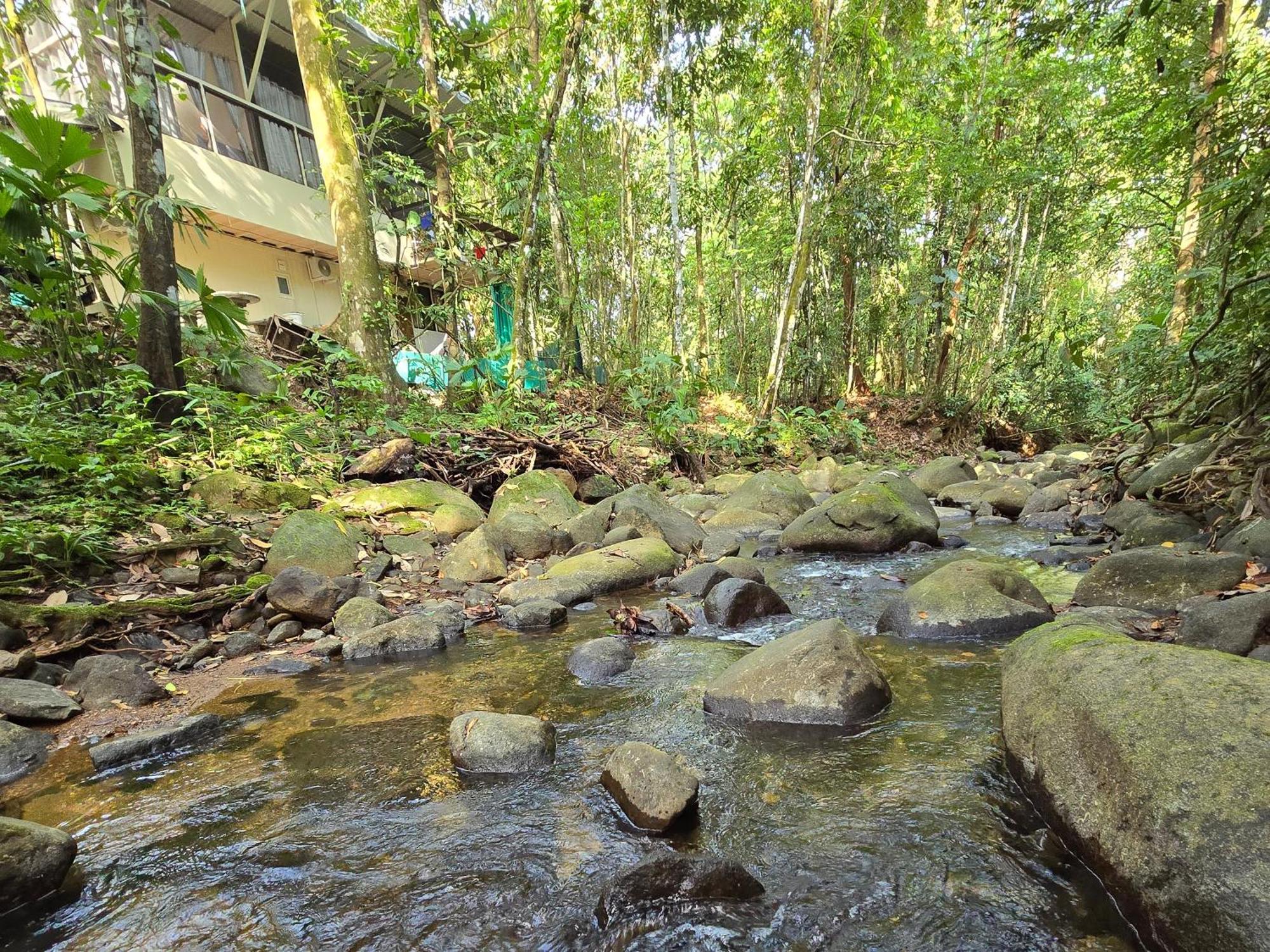 Cool Waters Jungle Villas Uvita Eksteriør bilde